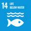 Life Below Water Life Below Water