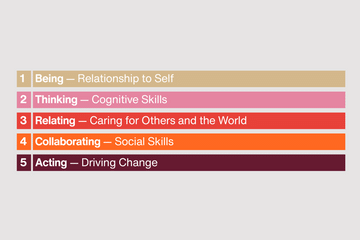 Inner development goals