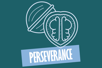 Perseverance