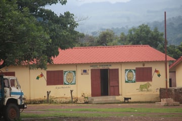 Aboubacarkhoraa (CC BY-SA 4.0) Working in the field Guinea
