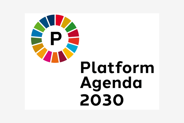 Platform Agenda 2030