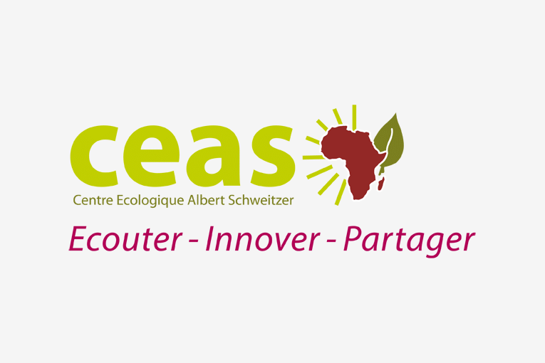 CEAS logo