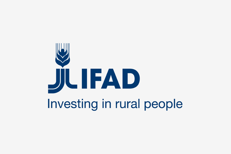 International Fund For Agricultural Development | Cinfo