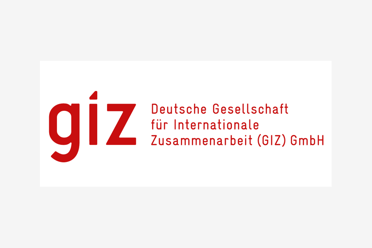 GIZ Logo