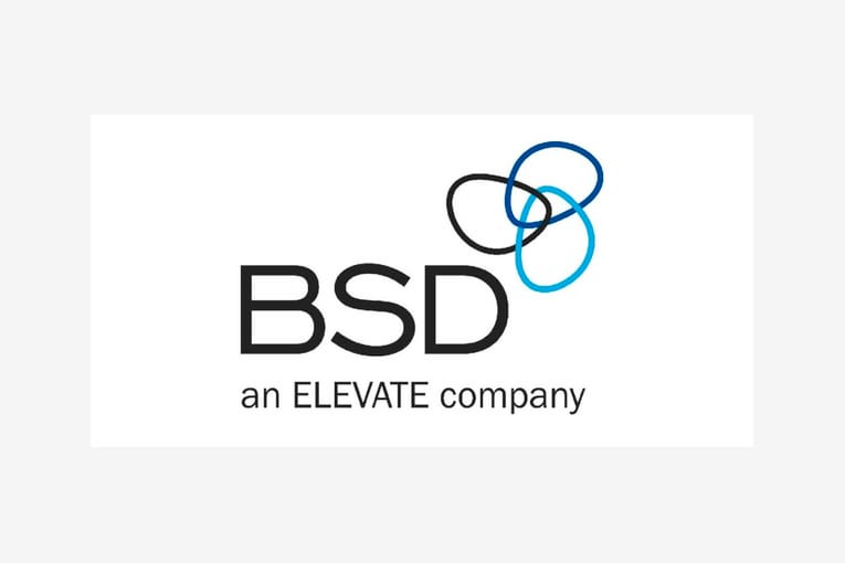 BSD Consulting