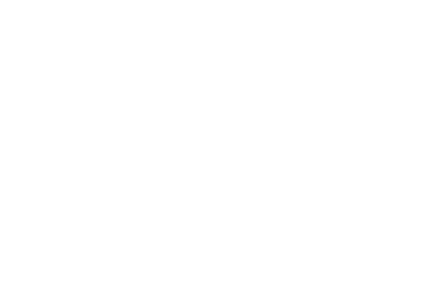 UN Women logo neg