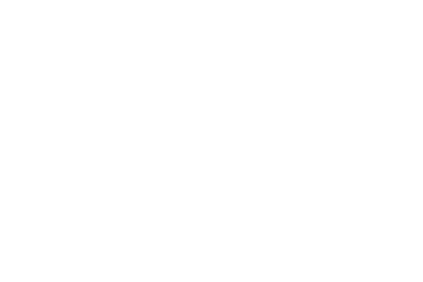 The Lutheran World Federation logo neg