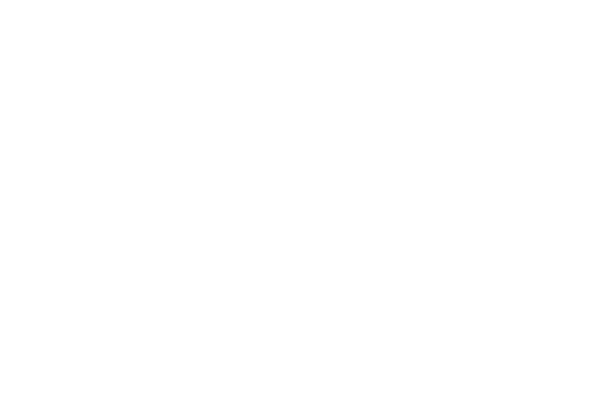 UNFPA logo neg