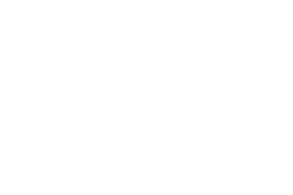 swisscontact logo neg