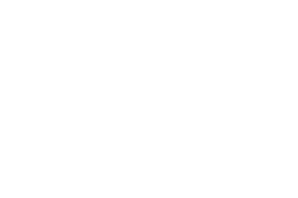 The World Bank logo neg