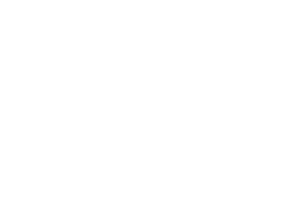 CDE logo neg