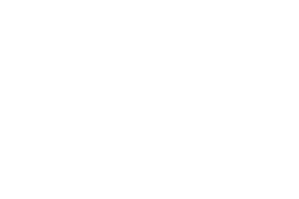 WFP logo neg