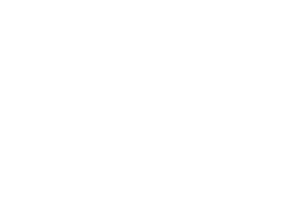 ETH Nadel logo neg