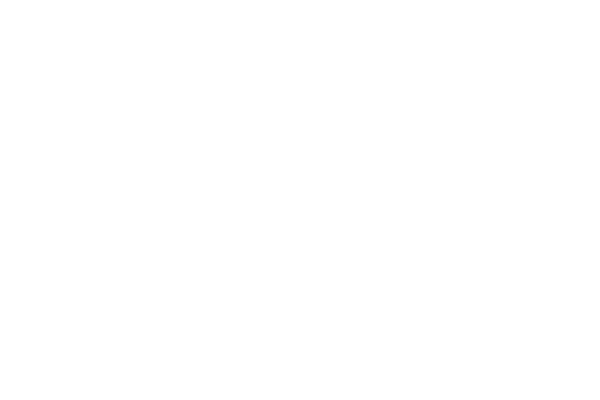 skat logo neg