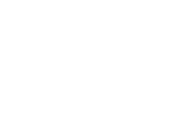 IFC logo neg