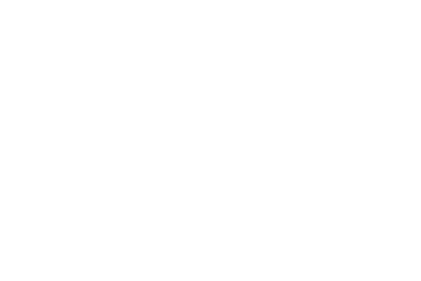 Solidar logo neg