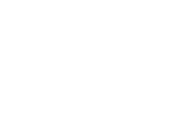 Swissaid logo neg
