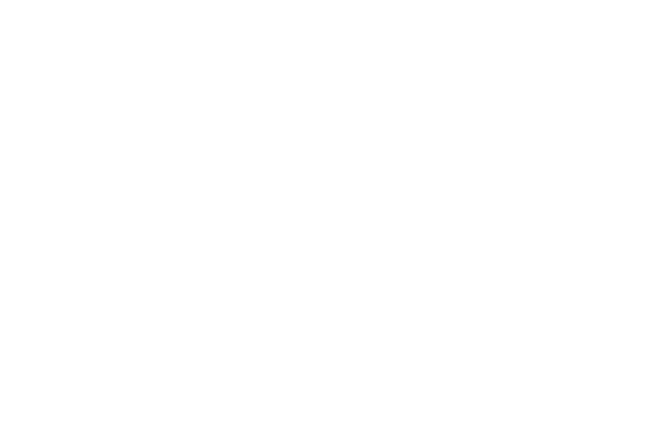 Geneva Acadeny logo neg