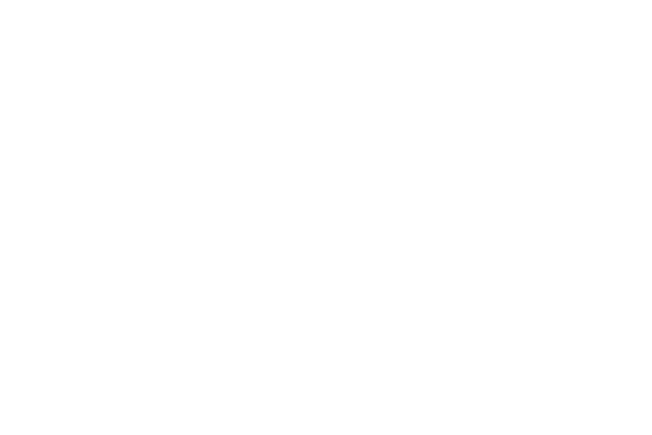CEAS logo neg