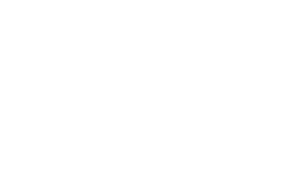 World Vision logo neg