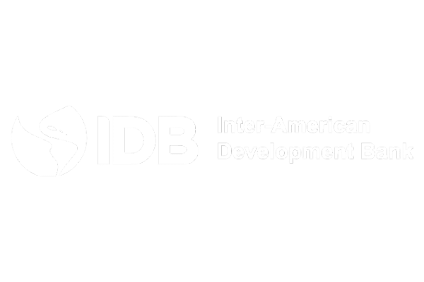 IDB logo neg