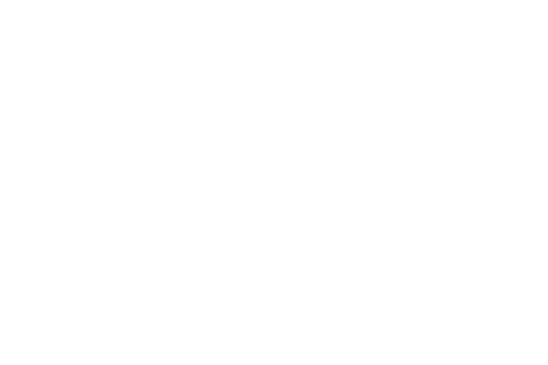 Fédération Luthérienne Mondiale logo neg