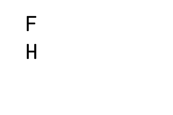 BFH logo neg